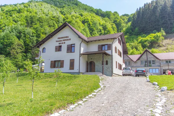 Valea Pinului
