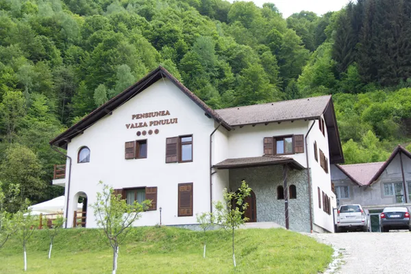 Valea Pinului