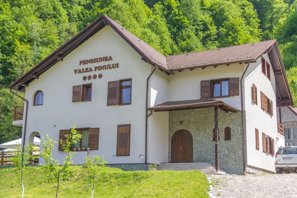 Valea Pinului